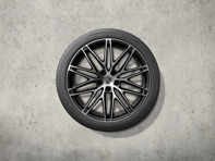 22 英寸 RS Spyder 设计冬季车轮和轮胎套件，高光黑色。保时捷 Macan-e - 95C044600H